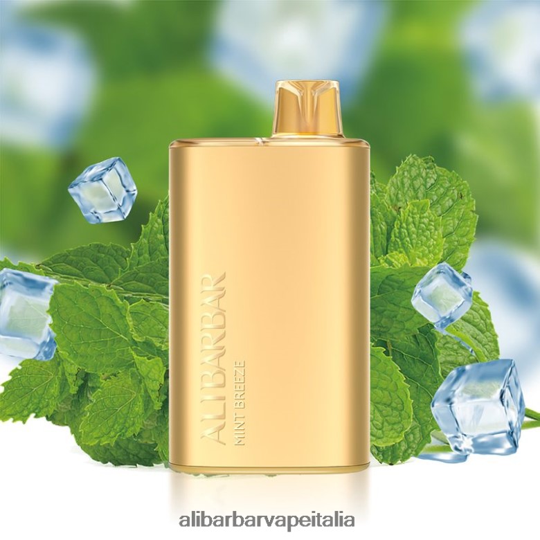 Alibarbar Vape Italia - Alibarbar Rich 8000 vaporizzatori usa e getta JBVJJP8 brezza di menta
